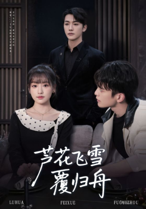 芦花飞雪覆归舟（77集）在哪看是免费的