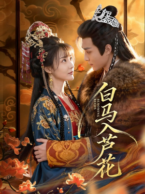 白马入芦花(59集) 白马入芦花(59集)在哪里可以看