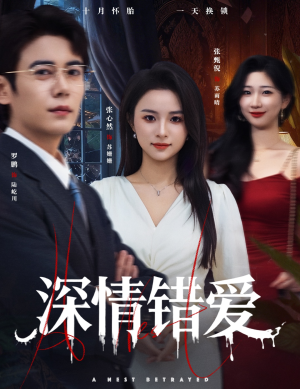 鸠占鹊巢（45集）在线免费观影