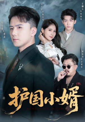 护国小婿（60集）迅雷网盘观看