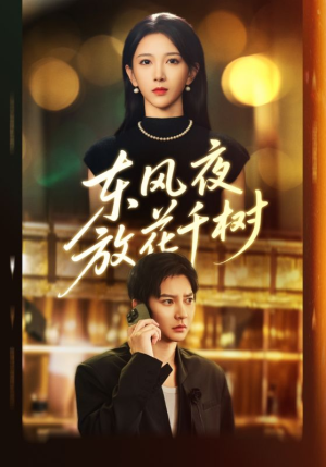 东风夜放花千树（91集）穿越短剧推荐