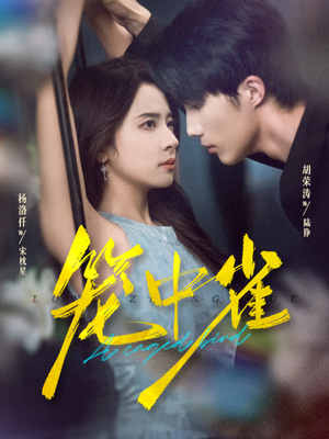 笼中雀（65集）小短剧推荐