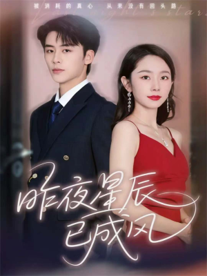 昨夜星辰已成风（75集）河马免费短剧