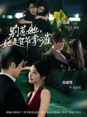 别惹她，她是贺爷掌心雀（69集）好看短剧追不停