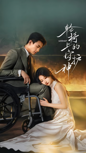 轮椅上的守护神（25集）高清画质免费看