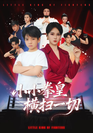 小小拳皇横扫一切（60集）短剧在线观看