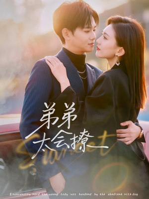 弟弟太会撩（81集）好看短剧又来了