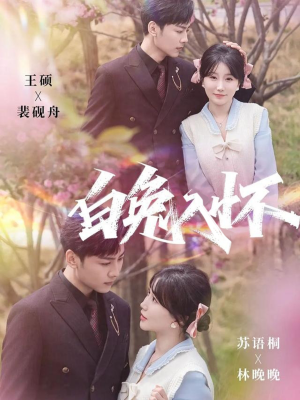 白兔入怀（60集）演的怎么样