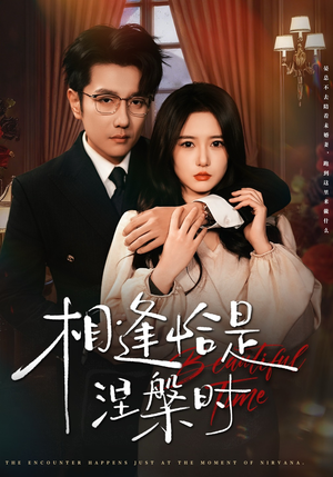 相逢恰是涅槃时（63集）热播古装短剧