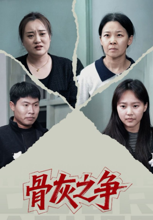 骨灰之争（30集）全集一次看完