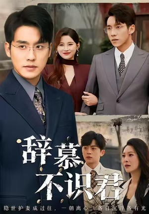 七年情深终成侮（77集）在哪看免费