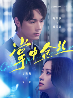 掌中金丝（60集）民国短剧推荐