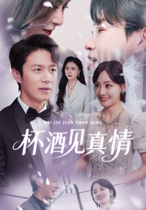 杯酒见真情（68集）热门短剧抢先