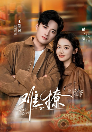 难撩（100集）全部免费看全集