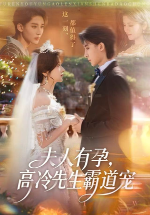 夫人有孕，高冷先生霸道宠（60集）360网盘观看