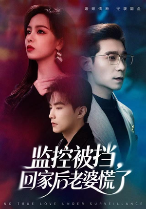 监控被挡,回家后老婆慌了(60集) 监控被挡,回家后老婆慌了(60集)贝贝短剧分享