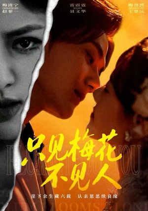 只见梅花不见人（63集）免费版