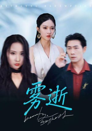 雾逝（30集）UC网盘在线看