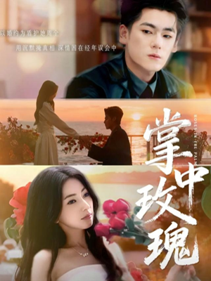 掌中玫瑰（60集）百度网盘资源
