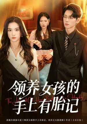 领养女孩的手上有胎记（60集）演员表