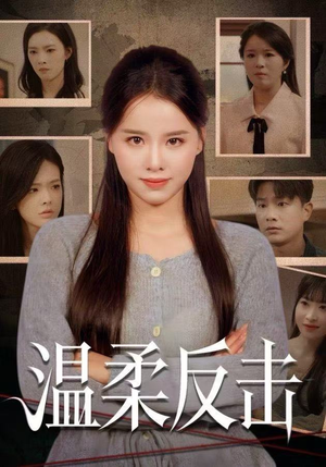 温柔反击（66集）在线观看全集