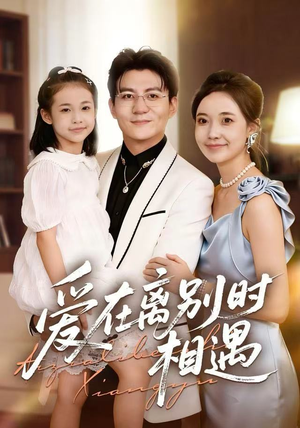 爱在离别时相遇(60集) 爱在离别时相遇(60集)番茄免费短剧