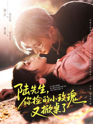 陆先生，你捡的小玫瑰又掀桌了（74集）短剧看全集