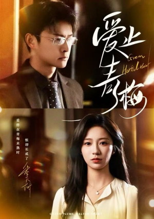 爱止青梅（60集）每日分享短剧