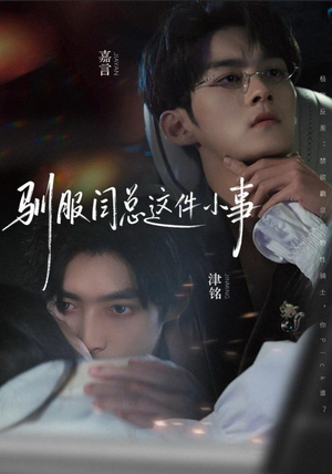 驯服闫总这件小事（58集）网上可以看吗