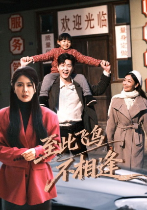 至此飞鸟不相逢（70集）海量短剧免费看