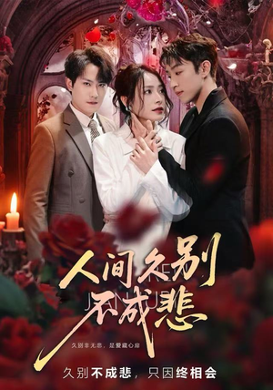 人间久别不成悲（80集）上热门短剧