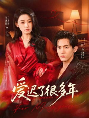 爱迟了很多年（73集）番茄短剧看全集