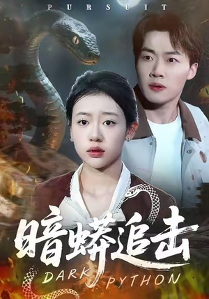 暗蟒追击（35集）百万短剧抢先看