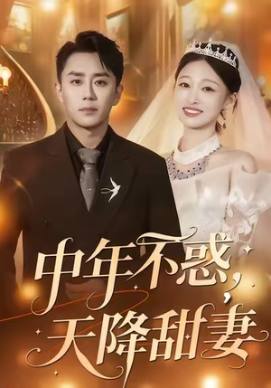 中年不惑，天降甜妻（60集）热门了短剧