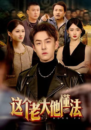 这个老大他懂法(100集) 这个老大他懂法(100集)全集一次看完