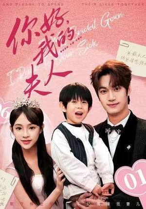 顾总，我才是你的夫人（65集）短剧排行榜