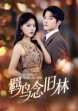 羁鸟念旧林（60集）红果短剧看全集