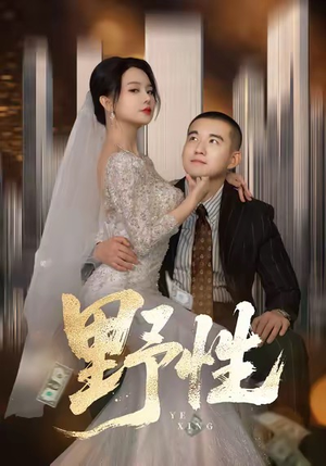 分手后，顶头上司要嫁我（70集）全集一次看完