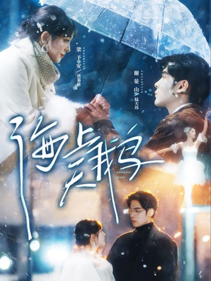 海上天鹅（70集）女主角是谁