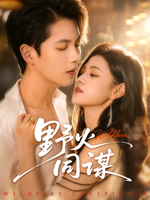 野火同谋（66集）正能量短剧分享