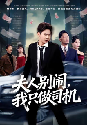 夫人别闹我只做司机（80集）短剧有好货推荐