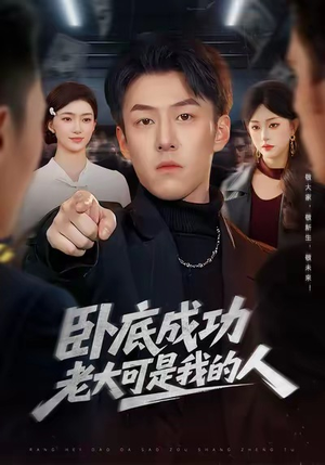 卧底成功老大可是我的人（99集）短视频追剧推荐