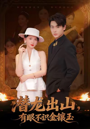 潜龙出山有眼不识金镶玉（78集）太好看了短剧