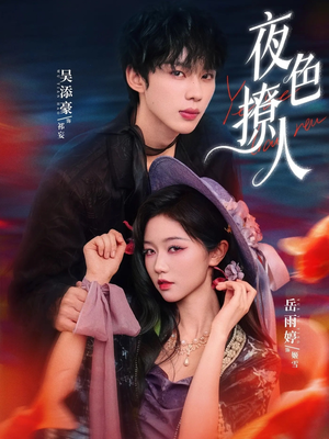 夜色撩人（76集）不用花钱看全剧