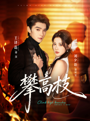 攀高枝（70集）爆款短剧推荐