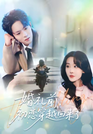 婚礼前初恋穿越回来了（100集）看过的人都说好