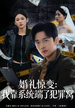 婚礼惊变：我靠系统端了犯罪窝（80集）直接看到大结局