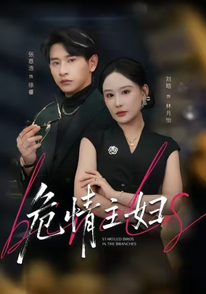 危情主妇（60集）短剧中追到爽