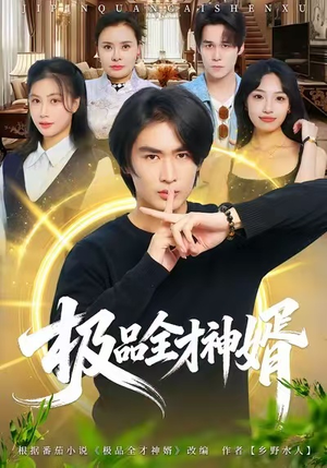 极品全才神婿（67集）一起看短剧