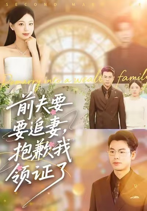 前夫要追妻，抱歉我领证了（81集）完整版免费观看